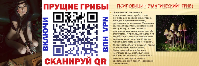 кракен сайт  Чишмы  Галлюциногенные грибы мухоморы  где купить наркоту 